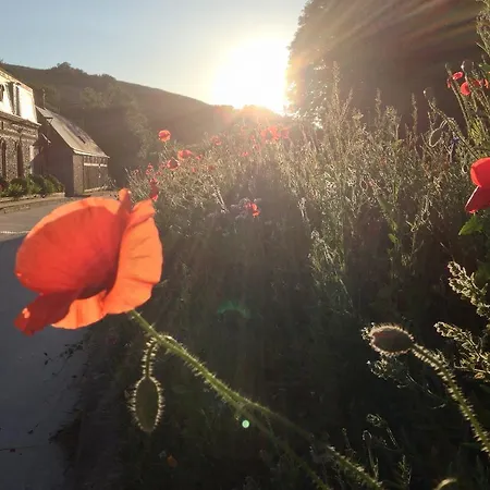 La Flore De Lys, Lovely Ideal For 2 Adults And 2 Kids Semesterbostad