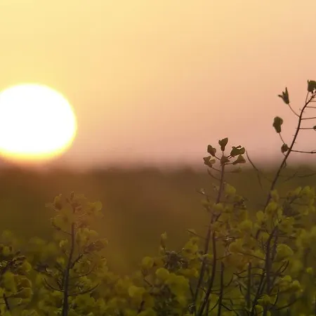 La Flore De Lys, Lovely Ideal For 2 Adults And 1 Bebe