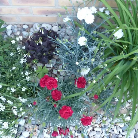 La Flore De Lys, Lovely Ideal For 2 Adults And 2 Kids Semesterbostad