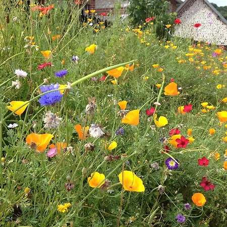 La Flore De Lys, Lovely Ideal For 2 Adults And 1 Bebe *